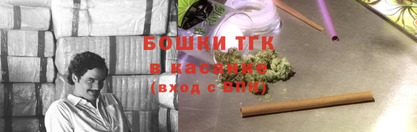 крисы Новодвинск