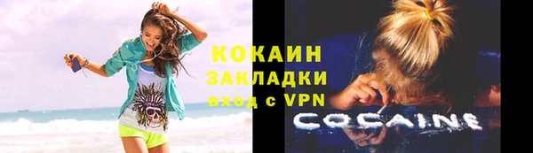 ГАЛЛЮЦИНОГЕННЫЕ ГРИБЫ Новозыбков